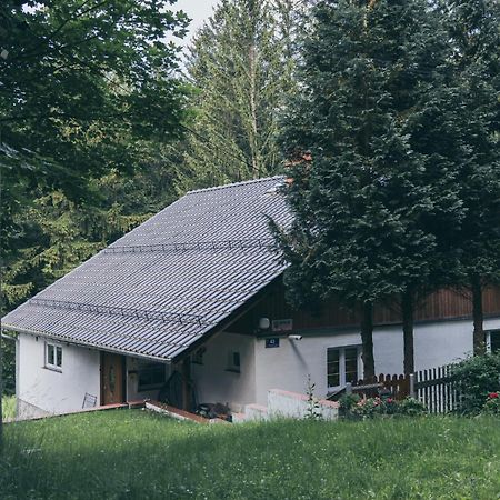 Chopina 43 Lägenhet Karpacz Exteriör bild