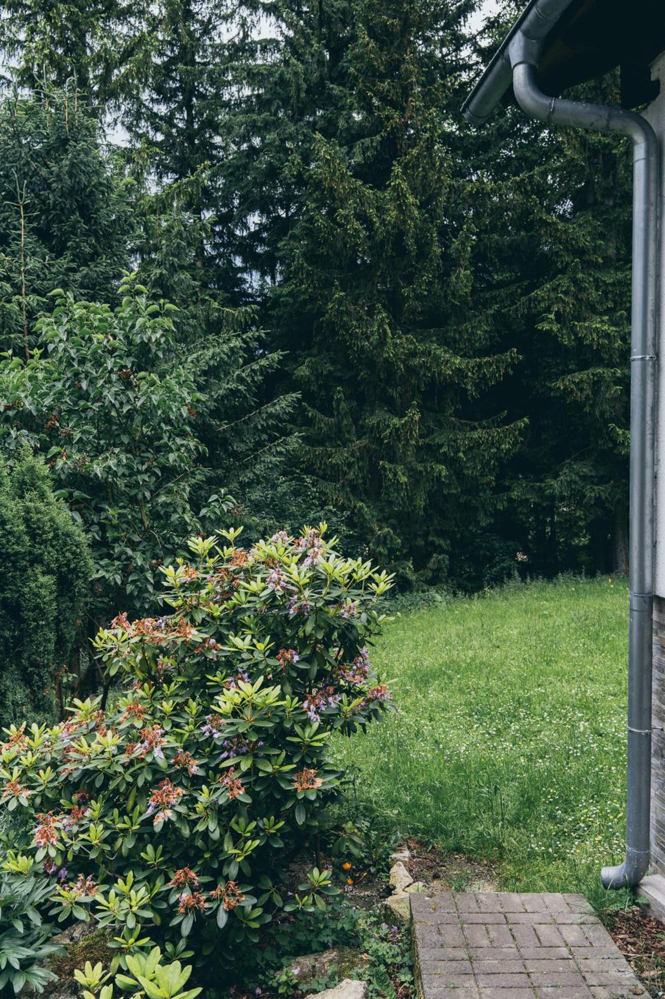 Chopina 43 Lägenhet Karpacz Exteriör bild